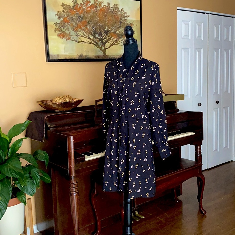 Great condition , long sleeve floral dress,